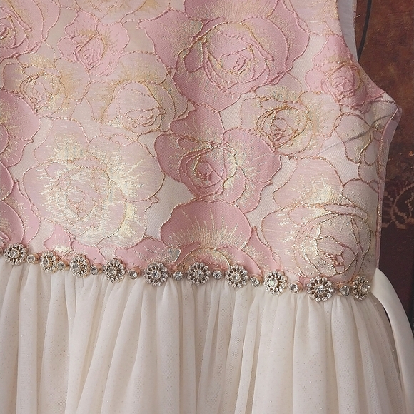 Beautiful Dress for Girls - Picture 2 of 4